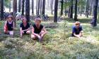 Bilberries picking  » Klikněte pro zvětšení ->
